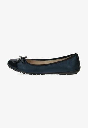 Caprice Ballet pumps - navy comb