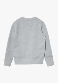 Felpa grigia con colletto rotondo, maniche lunghe e polsini a costine, realizzata in morbido tessuto con finitura liscia. Vista posteriore mostrata.