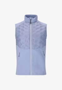 Unausgewählt, blue heron