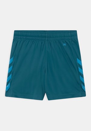 CORE - Short de sport - blue coral