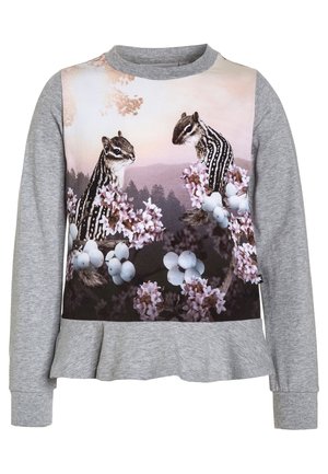 Gray long-sleeve sweatshirt with a floral photographic print featuring chipmunks against a pastel background. Ruffled hem design.