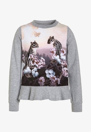 Šedá mikina s dlouhým rukávem a květinovým fotografickým potiskem z veverčích postav na pastelovém pozadí. Focené designy s volánkovým lemem.