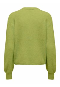 Lysegrøn strikket sweater med lange ærmer og ribstrikkede manchetter, vist bagfra på en hvid baggrund.
