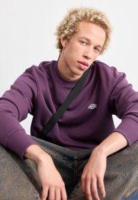 Dickies SUMMERDALE - Sweater - plum perfect
