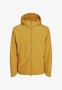 Unselected, golden glow