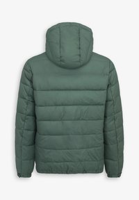Grøn pufferjakke med hætte, som har et quiltet design, elastiske manchetter og en kant. Glat stof med en mat finish.