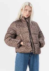 Vero Moda VMPARDA JACKET - Ziemas jaka - silver mink
