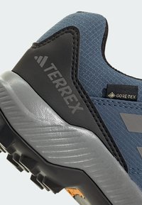 Chaussures Terrex avec un dessus en textile bleu et des accents noirs, une semelle intermédiaire grise texturée, et une étiquette Gore-Tex sur le côté.