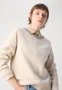Pull en laine beige avec des poignets et un ourlet côtelés, arborant un col décoratif incrusté de pierres précieuses sur une chemise à col brun clair.