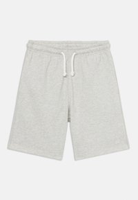 Δεν επιλέχθηκε, ash