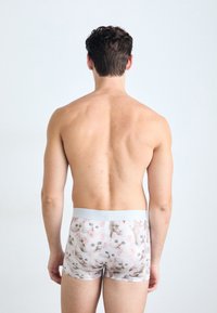 Men's boxer shorts in a light pastel fabric featuring a pattern of cute cats, with a soft gray waistband. View from the back.