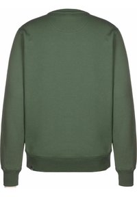 Felpa verde in cotone con scollo rotondo, maniche lunghe, polsini e orlo a coste. Tessuto liscio senza loghi o motivi visibili.