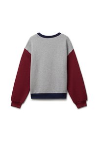 Felpa grigia chiara con maniche lunghe rosse scure, colletto e orlo blu navy, mostrata da dietro su uno sfondo bianco.