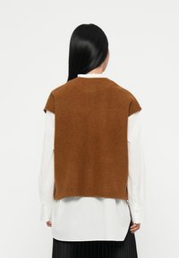 Brauner gestrickter Sweater-Westen mit kurzen Ärmeln, rundem Ausschnitt und weicher Textur, über einem weißen Langarmhemd und einem plissierten schwarzen Rock getragen.