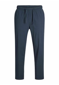 STACE JJBREEZE - Hlače - navy blazer