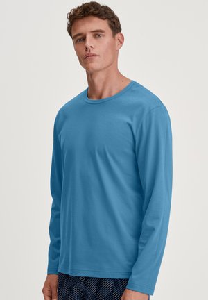 Langarmshirt van effen blauwe katoen, met een ronde halslijn en een relaxte pasvorm. Het ontwerp is eenvoudig zonder extra patronen of accenten.