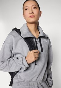The North Face INTEREST 1/4 ZIP - Sweatshirt - pale grey heather/meld grey