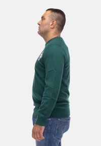 Pullover verde lavorato a maglia con scollatura rotonda, polsini e orlo a coste, con una toppa con logo sul petto. Indossato con jeans blu.