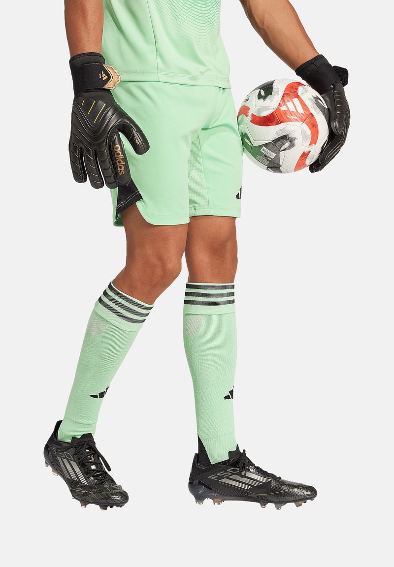 Torwart in schwarzen und goldenen Handschuhen, mintgrünem Trikot und Shorts, mintgrünen Socken mit schwarzen Streifen und schwarzen Fußballschuhen, der einen Fußball hält.