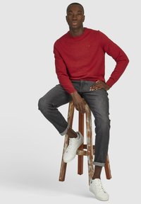 Hechter Paris BASIC  - Strickpullover - rot