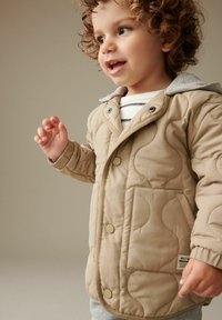 Next QUILTED STANDARD - Übergangsjacke - neutral