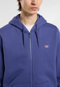 Giovane che indossa una felpa blu con zip e cappuccio, con il logo Dickies sul petto, sopra una maglietta bianca.