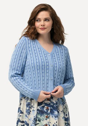 Svetle modrý pletený cardigan s V-výstřihem, ozdobený kabelkovými vzory a zapínáním na knoflíky. Ráfkované manžety a lem dokončují design.