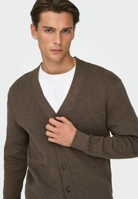 Brun strikket cardigan med V-hals, seks knapper, ribbestrikkede mansjetter og myk tekstur; brukt over en hvit T-skjorte.