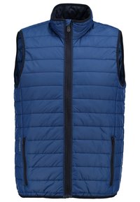 Gilet imbottito azzurro senza maniche con colletto alto, cerniera frontale completa e due tasche laterali con zip, rifiniture nere lungo gli spallacci e la cerniera.
