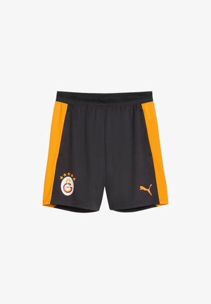 Puma, GALATASARAY S.K., szary