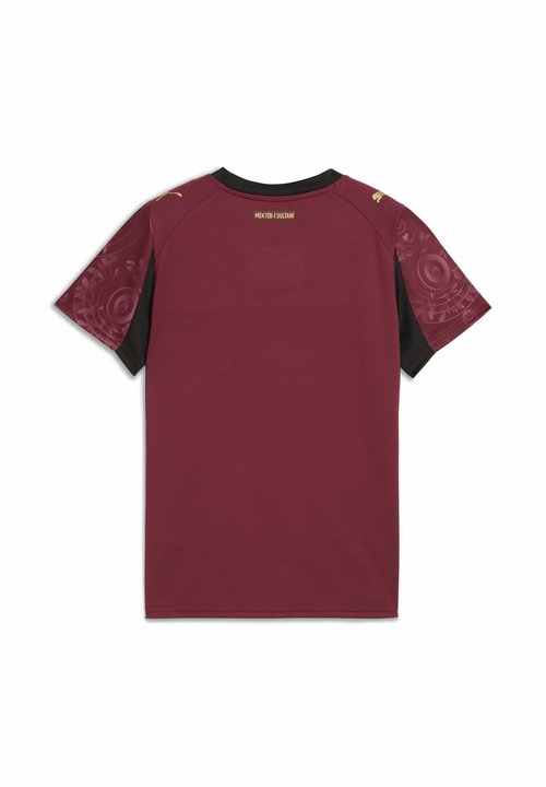 PUMA Galatasaray SK 25/26 Third Jersey Youth - Football jersey - team regal red- team gold — foto 6