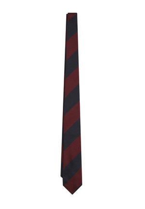 BIG STRIPES - Corbata - navy burgundy