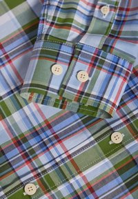 Polo Club LONG SLEEVE CHECKS ARATZ - Overhemd - light blue  green