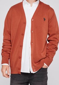 Rust-colored cardigan made of knit material, featuring a V-neck, front buttons, and ribbed cuffs, layered over a white shirt.