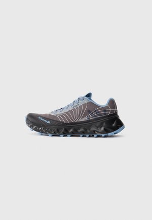 TOMIR 2.0 GTX UNISEX - Trail running shoes - blue/grey