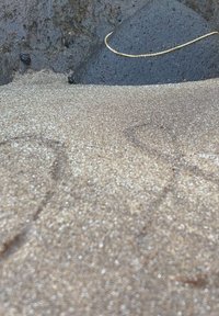Goldene Kette, die auf dunklem, nassem Stein liegt, umgeben von feinem, funkelndem Sand mit Lichtreflexionen. Die glatten Texturen stehen im Kontrast zu dem rauen Gestein.