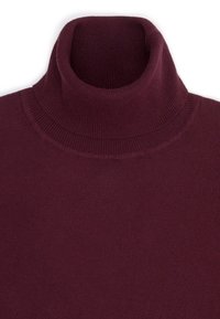 Bordowy sweter z golfem wykonany z miękkiego materiału dzianinowego, z prążkowanym kołnierzem i bezszwowym wzornictwem, zapewniający gładką teksturę.