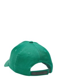 Dropsize HD LOGO - Cap - green