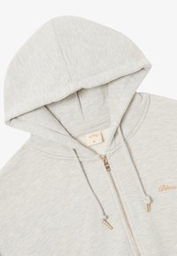 Hellgraue Zip-Hoodie aus strukturiertem Stoff, mit Kordelzugkapuze und goldfarbener Reißverschlüsse mit Logodetail auf der Vorderseite.