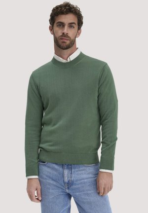 Mann mit lockigem Haar und Bart, der einen grünen Pullover über einem weißen Hemd und hellblauen Jeans trägt und vor einem einfarbigen Hintergrund steht.