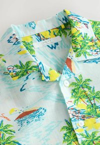 Non sélectionné, hawaian