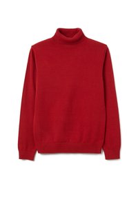 Roter Rollkragenpullover aus weichem Strickstoff. Er verfügt über einen eng anliegenden Kragen und lange Ärmel mit gerippten Bündchen und Saum.