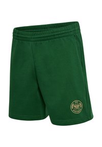 Gröna bomullsshorts med elastisk midja och en rund logotypapplikation i guld med en stiliserad emblematik och året 1923.