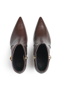 Stivali alla caviglia in pelle marrone con punta affilata, chiusura a zip e dettagli in metallo dorato. Texture liscia, design elegante.