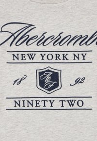 Abercrombie & Fitch CREST BOXY TEE - T-Shirt print - oatmeal heather