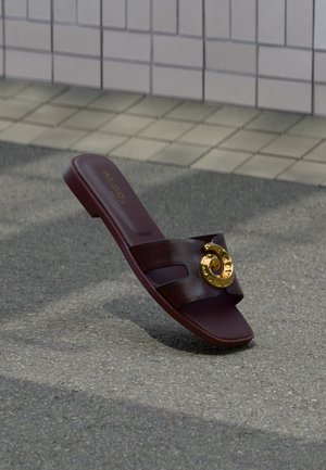 Tmavo hnedá šľapka s detailom zlatej kruhovej pracky, ležiaca na sivom chodníku pri obloženej stene.