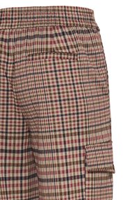 Gros plan sur un pantalon à carreaux avec ceinture élastique, poche arrière et poche cargo latérale dans un motif à carreaux rouges, bruns et beiges.