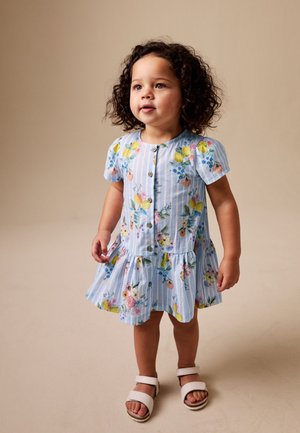 Next Denimové šaty - blue white stripe floral