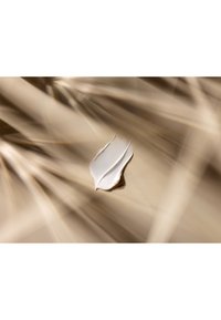 Immagine in miniatura 6
