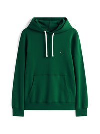SEASONAL HOODY - Sportinis megztinis - ornamental green